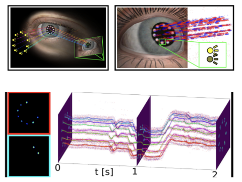 Event-Based Vision for Eye Tracking - PROPHESEE